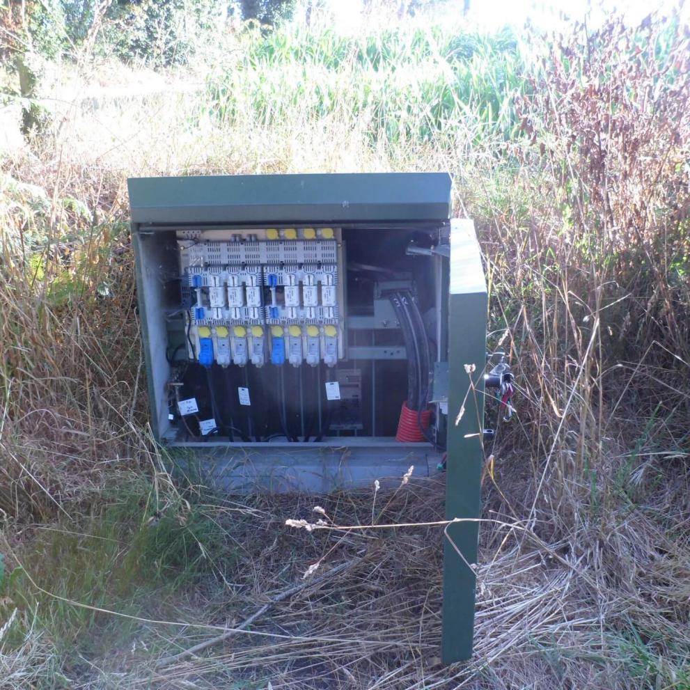 Un nid de guêpes s'est constitué sur le dessus de la porte de l'installation électrique 